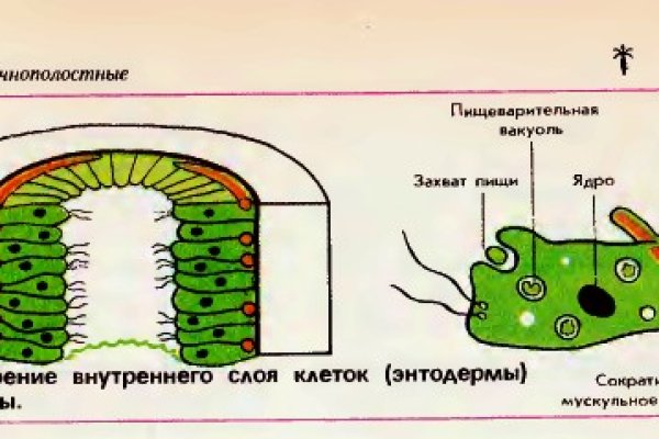 Кракен перейти