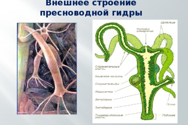 Кракен сайт продаж