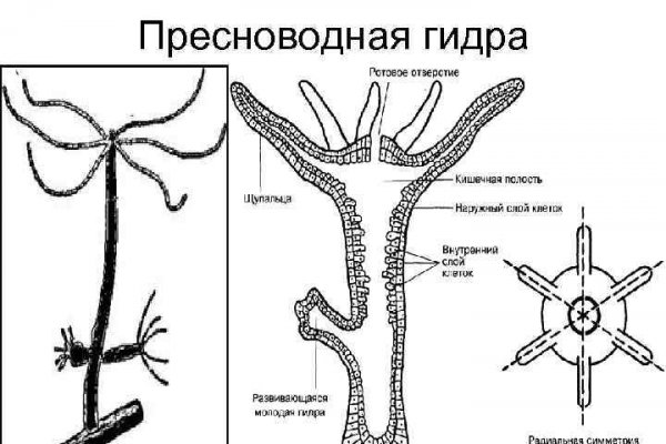 Что за площадка кракен