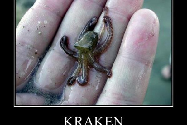 Рабочее зеркало кракен